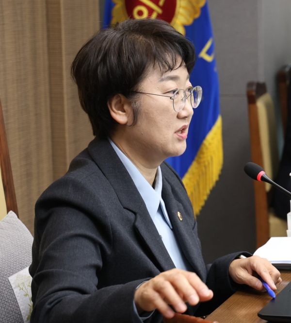 고은정 위원장. 사진=경기도의회 제공.